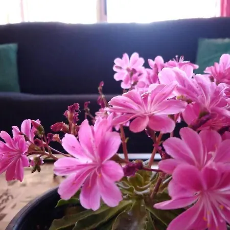 Marzy's Flat Apartment Quartu SantʼElena